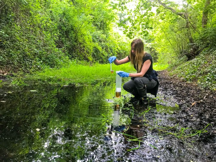 Biodiversity assessments