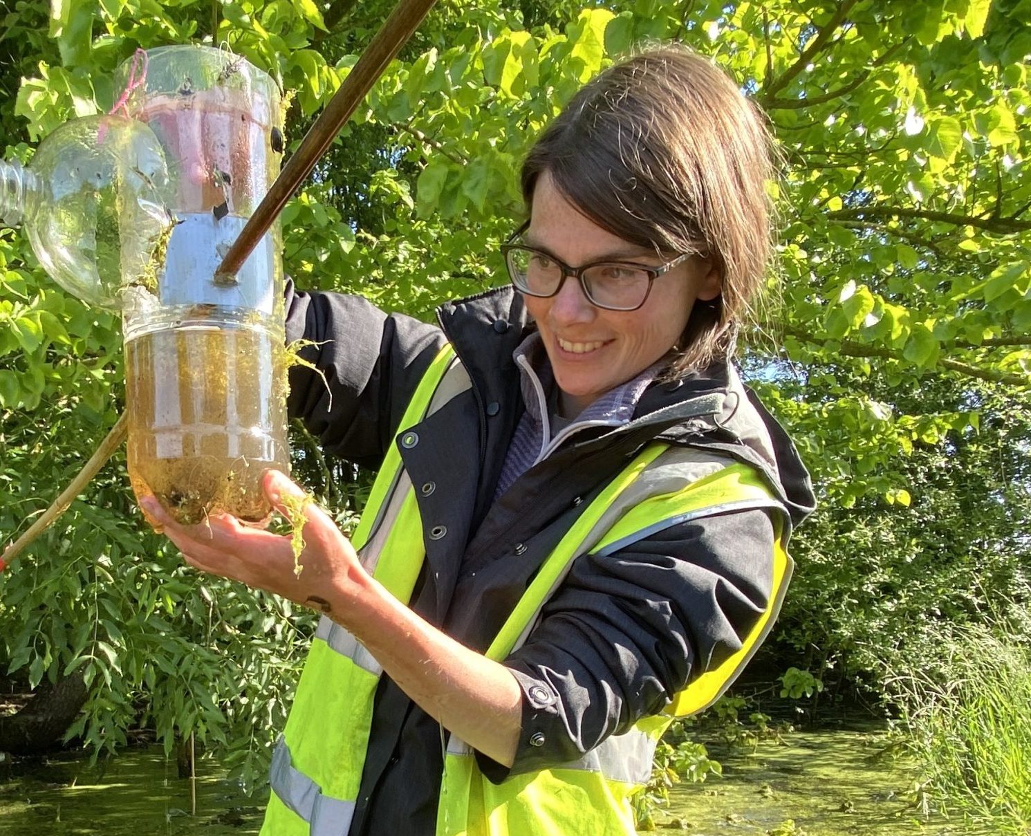 Ecologist checking a bottle trap for a great crested newt survey