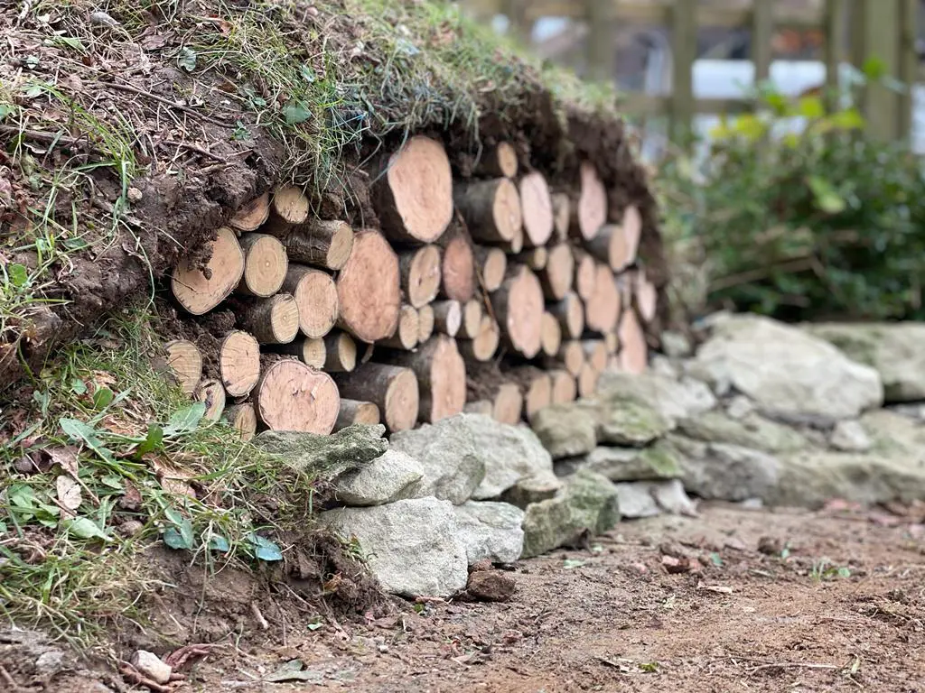 A combination of deadwood and stone creates a diverse habitat feature for multiple species