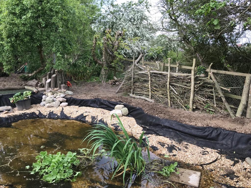 Planting native species in wildlife ponds