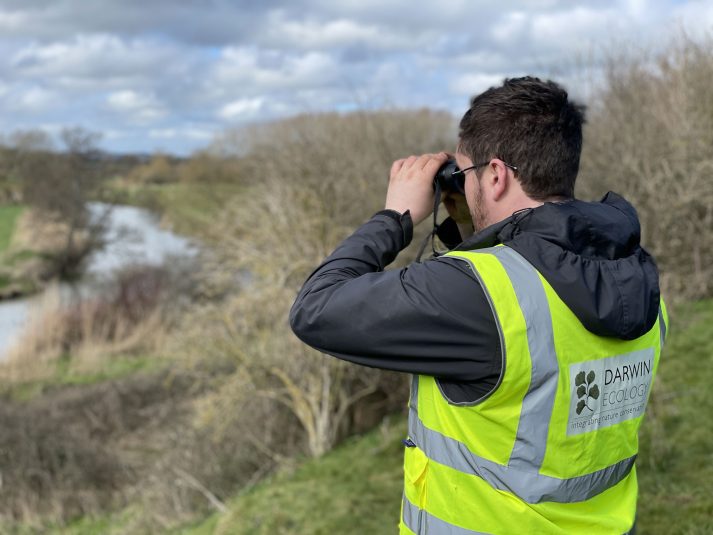 Ecologist with binoculars